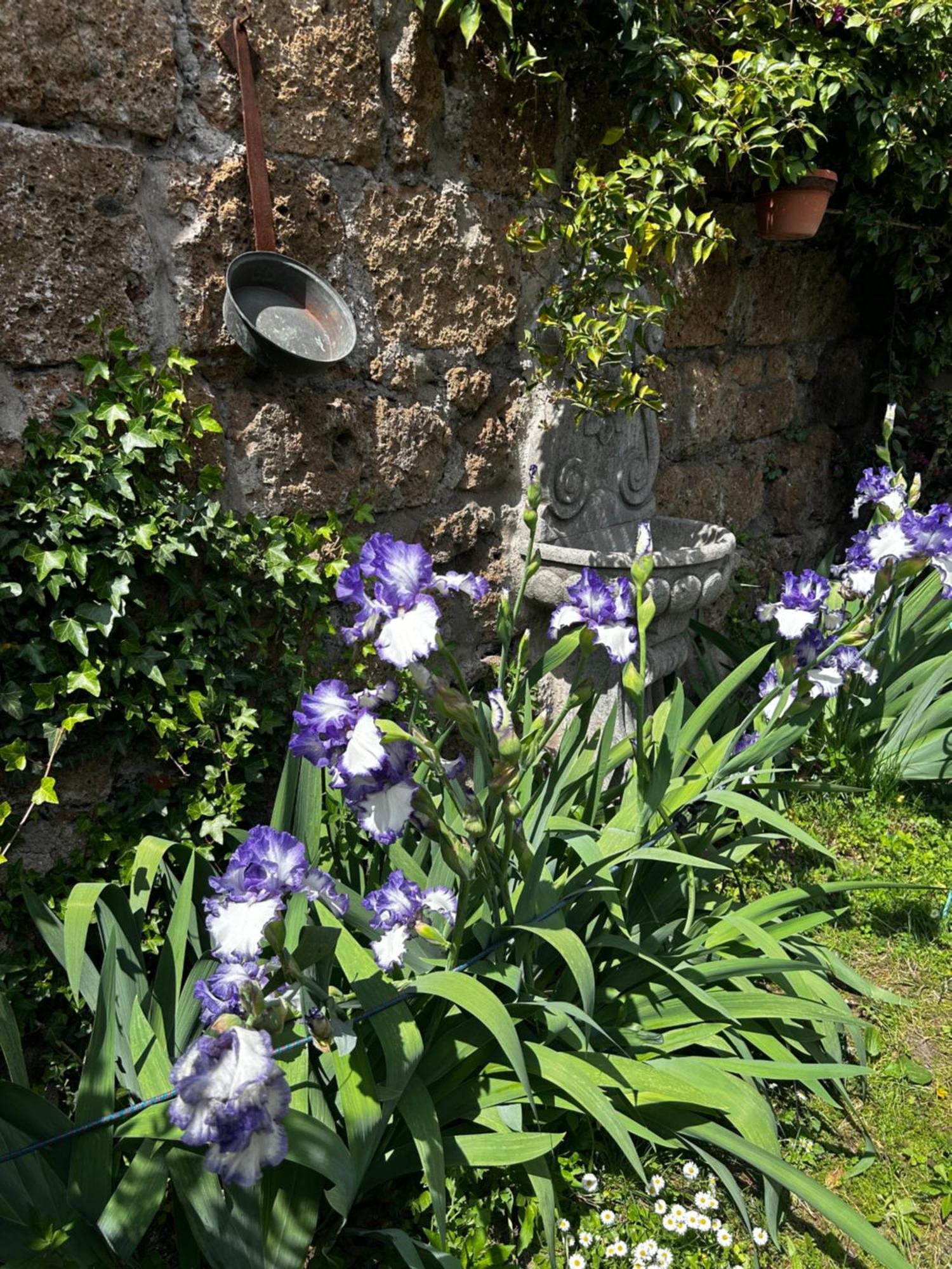B&B Etruscan Garden Sutri Esterno foto